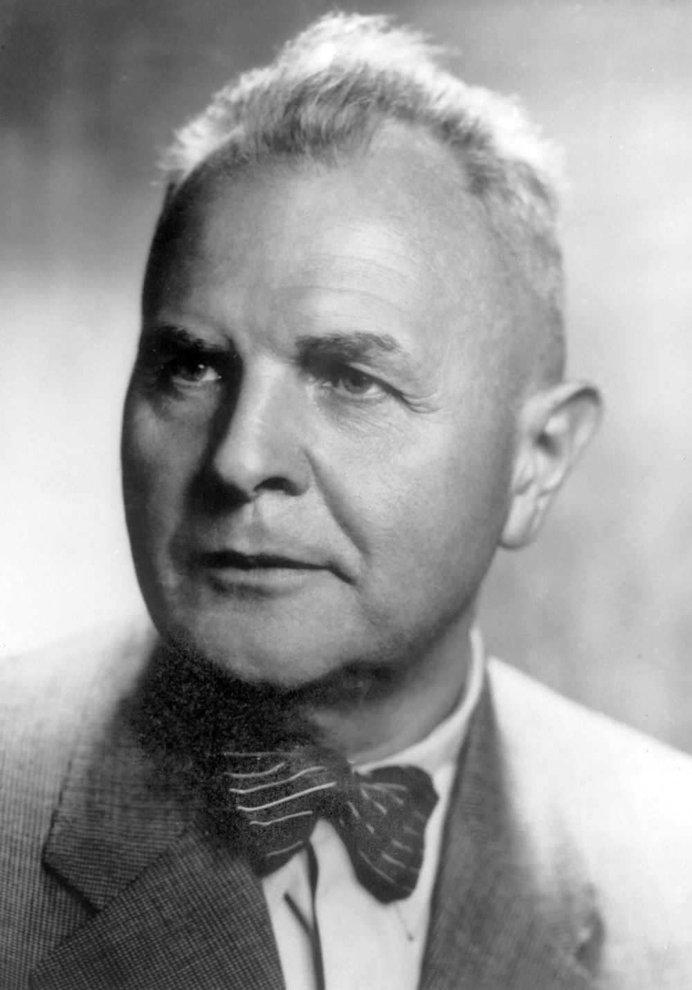 Theodor Stiebel